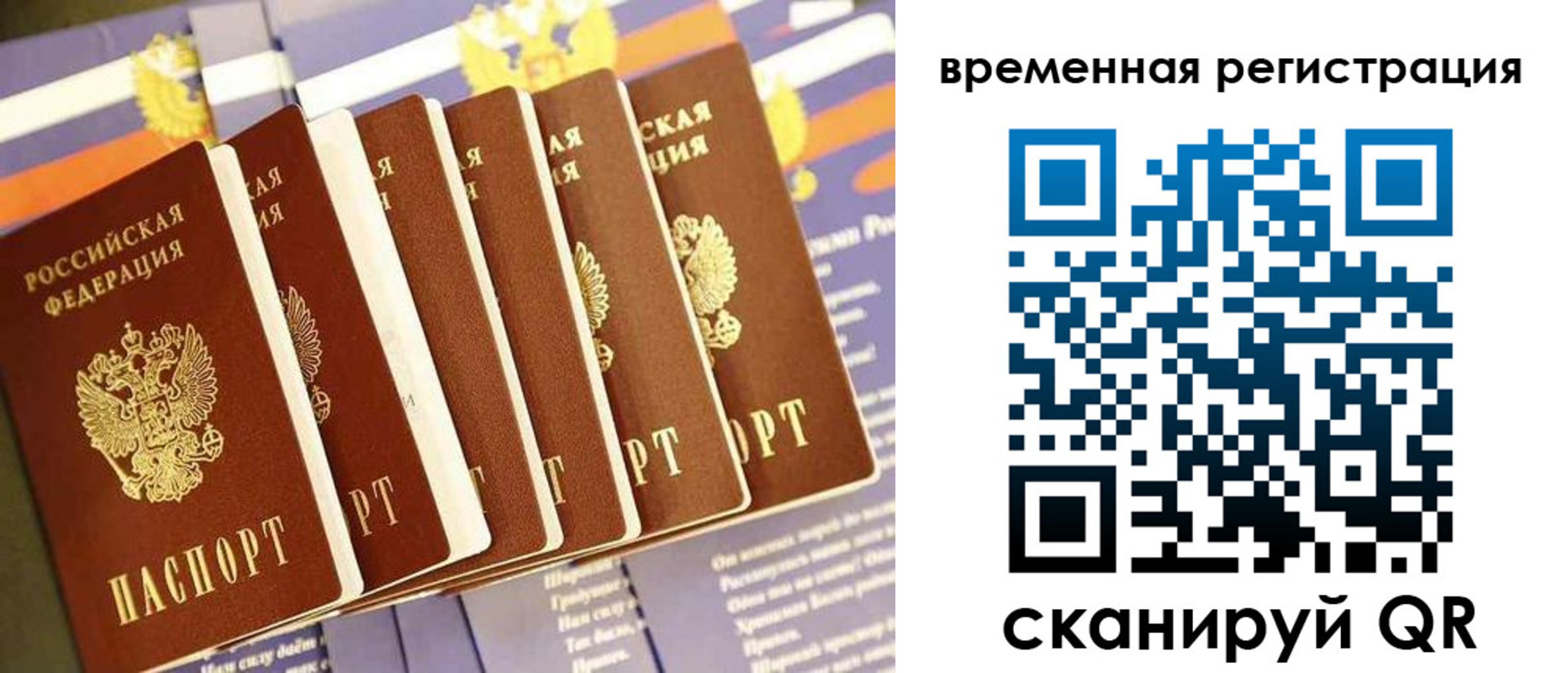 временная регистрация поиск в Камышлове